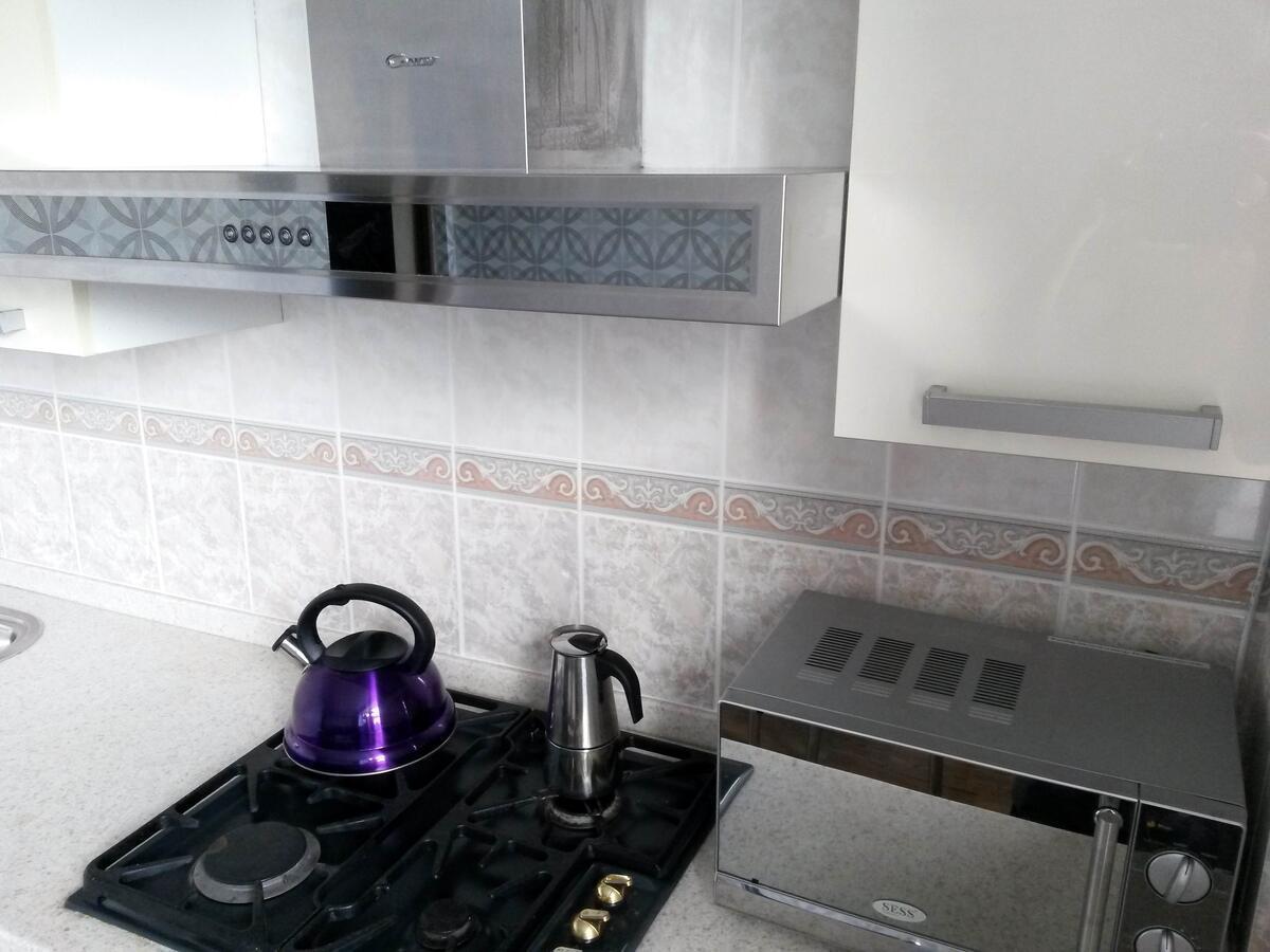 "Картина Горных Вершин" Квартира- "Mountain View" Apartment الماتي المظهر الخارجي الصورة